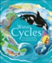 Water Cycles: The source of life from start to finish