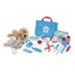 Examine and Treat Pet Vet Playset