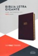 RVR 1960 Biblia letra gigante, cafe, piel fabricada con indice (Giant Print, Brown, Indexed)