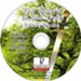 Sword in the Tree Study Guide on CDROM