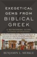 Exegetical Gems from Biblical Greek: A Refreshing Guide to Grammar and Interpretation - eBook