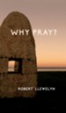 Why Pray?: Unpublished writings by the former chaplain to the shrine of Julian of Norwich - eBook