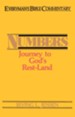 Numbers- Everyman's Bible Commentary - eBook