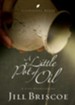 A Little Pot of Oil: A Life Overflowing - eBook