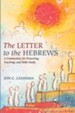 The Letter to the Hebrews: A Commentary for Preaching, Teaching, and Bible Study - eBook