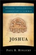 Joshua (Brazos Theological Commentary on the Bible) - eBook