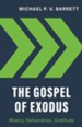 The Gospel of Exodus: Misery, Deliverance, Gratitude - eBook