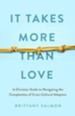 It Takes More than Love: A Christian Guide to Navigating the Complexities of Cross-Cultural Adoption - eBook