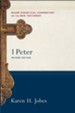 1 Peter (Baker Exegetical Commentary on the New Testament) - eBook