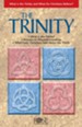 The Trinity Pamphlet 10pk: What Is the Trinity and What Do Christians Believe? - eBook