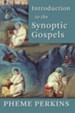 Introduction to the Synoptic Gospels - eBook