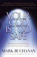 Your God is Too Safe - eBook