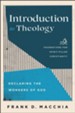 Introduction to Theology (Foundations for Spirit-Filled Christianity): Declaring the Wonders of God - eBook