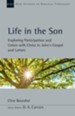 Life in the Son: Exploring Participation and Union with Christ in John's Gospel and Letters - eBook