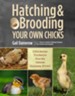 Hatching & Brooding Your Own Chicks: Chickens, Turkeys, Ducks, Geese, Guinea Fowl - eBook