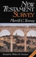 New Testament Survey - eBook