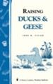 Raising Ducks & Geese: Storey's Country Wisdom Bulletin A-18 - eBook