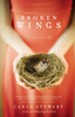 Broken Wings: A Novel - eBook