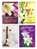 Resurrection Blessings (KJV) Box of 12 Easter Cards