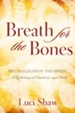 Breath for the Bones: Art, Imagination and Spirit: A Reflection on Creativity and Faith - eBook