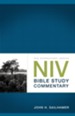 NIV Bible Study Commentary / Abridged - eBook