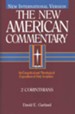 2 Corinthians: New American Commentary [NAC] -eBook