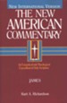 James: New American Commentary [NAC] -eBook