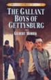 The Gallant Boys of Gettysburg - eBook