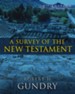 A Survey of the New Testament: 5th Edition - eBook