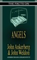 The Facts on Angels - eBook