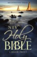 NIV Holy Bible, Larger Print, Paperback