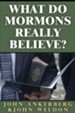 What Do Mormons Really Believe - eBook