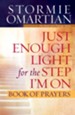 Just Enough Light for the Step I'm On Book of Prayers - eBook