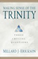 Making Sense of the Trinity: Three Crucial Questions - eBook