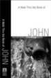 Walk Thru the Book of John, A: A Surprising Savior - eBook