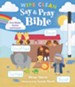 Say & Pray Bible Wipe Clean: First Words, Stories, and Prayers