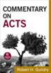 Commentary on Acts - eBook