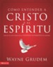 Making Sense of Christ and the Spirit - eBook