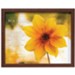 Be A Flower Framed Art