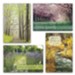 Pathways, Sympathy Cards, Box of 12