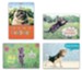 Furry Friends, Birthday Cards, Box of 12