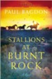 Stallions at Burnt Rock: A Novel - eBook