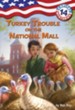 Capital Mysteries #14: Turkey Trouble on the National Mall - eBook