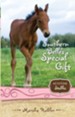 Southern Belle's Special Gift - eBook