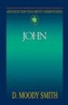 Abingdon New Testament Commentary - John - eBook