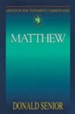 Abingdon New Testament Commentary - Matthew - eBook