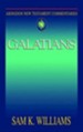 Abingdon New Testament Commentary - Galatians - eBook