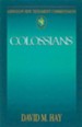 Abingdon New Testament Commentary - Colossians - eBook