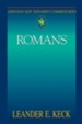 Abingdon New Testament Commentary - Romans - eBook