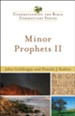 Minor Prophets II - eBook